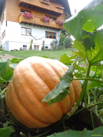 Gartenbesichtigung