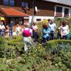Gartenbesichtigung